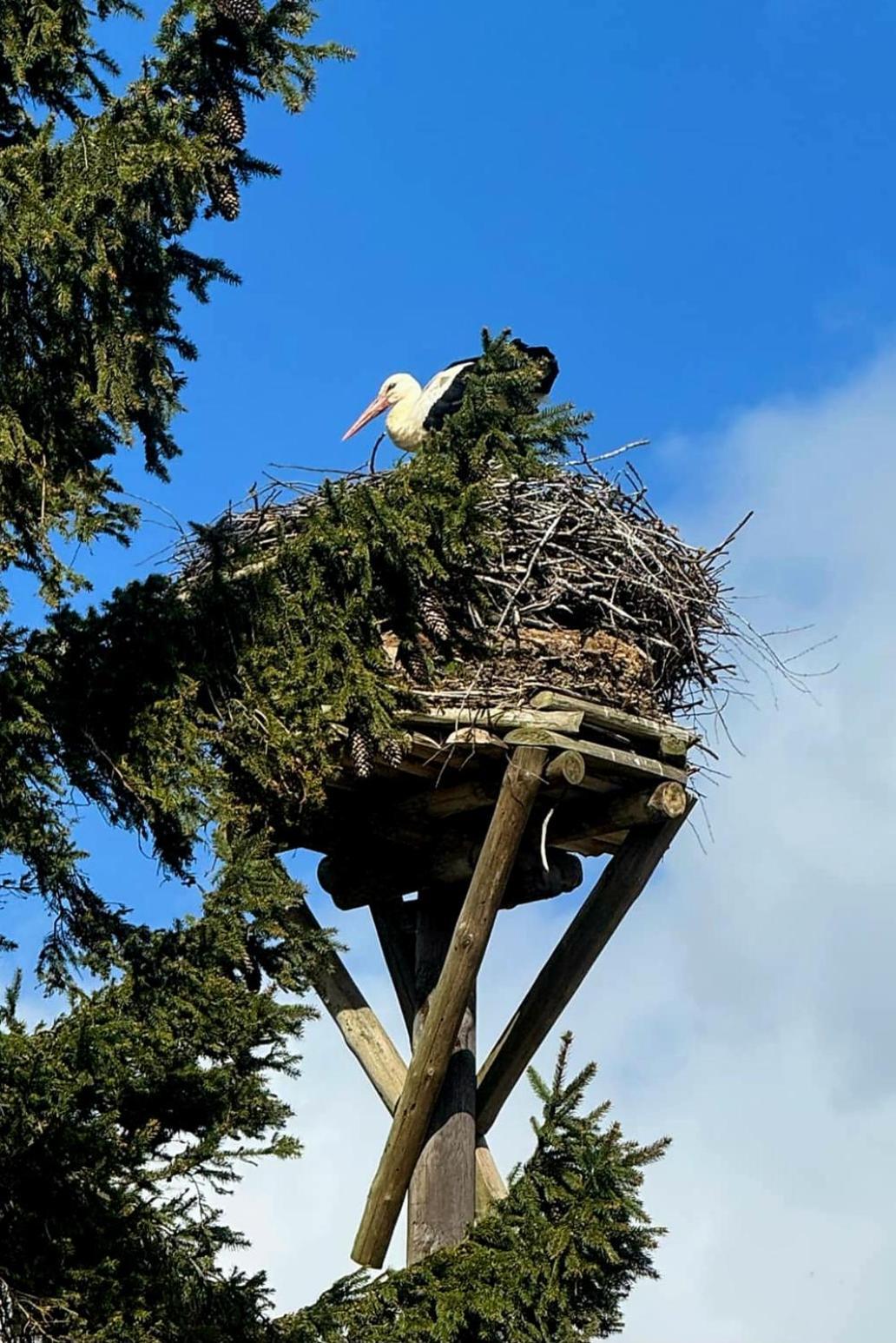 Stara Szkolas7 Noclegi,Mzajezierze 8 14-330 Mazury Małdyty Kültér fotó