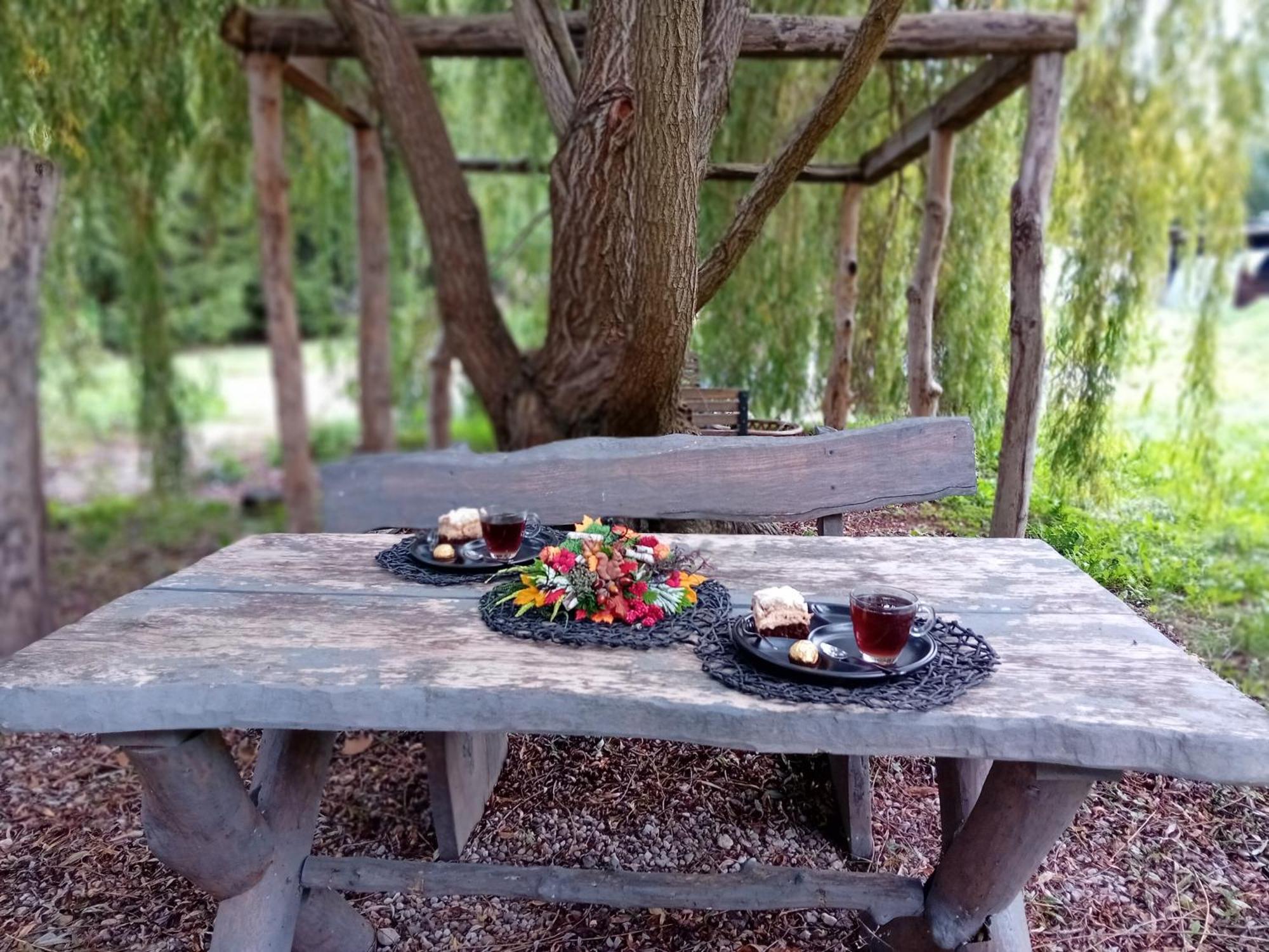 Stara Szkolas7 Noclegi,Mzajezierze 8 14-330 Mazury Małdyty Kültér fotó